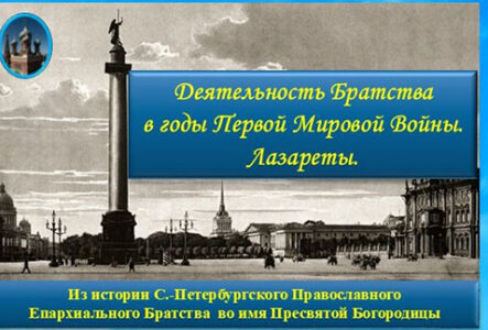 Деятельность. Лазареты