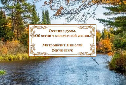 Митрополит Ярушевич. Осенние думы